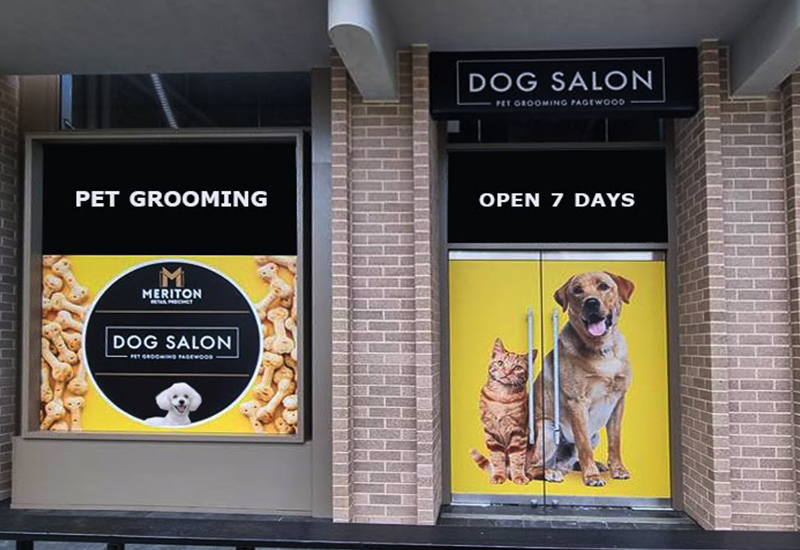 Pet Grooming Near Me: Master Grooming Services in Pagewood